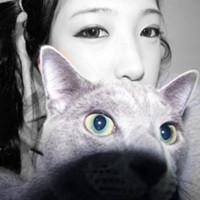 全国语连版抖音敷衍只是散场的开始串烧