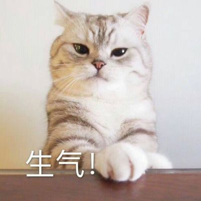 140分钟近期热播_超火DJ榜《神魂颠倒_海市蜃楼_孤独颂歌_得不到_沉醉在梦中》_特别好听车载舞曲串烧靓碟