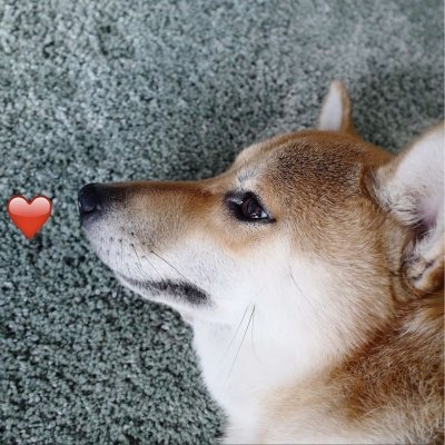 嗨音至上_嗨翻天弹跳DJ《一路开车一路嗨_猛踩油门忒提神》车载摇头舞曲大碟