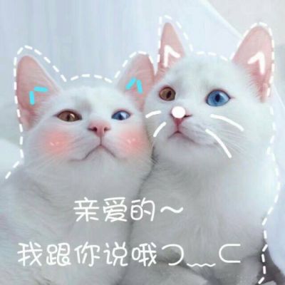 84分钟全女声中文DJ·保时捷车载版《春暖花开·天亮以后说分手·拈花一笑·我的楼兰》高清舞曲串烧大碟