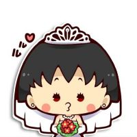 AI音文化-精选DJ阿圣Club伤感低音全中文车载CD串烧-AI音工作室广州DJ辉少VSDJ晓东