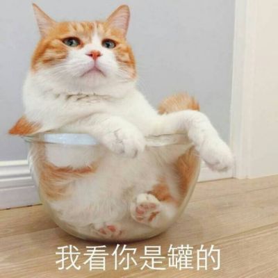 四会Dj东仔-全旋律CLUB音乐享受舒适Candy旋律串烧