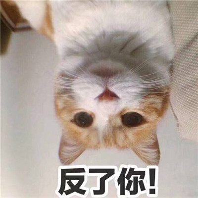大哲-午夜的酒吧-DJ何鹏