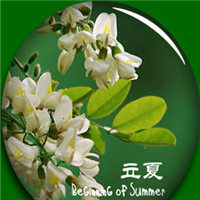 晨熙-你的眼神出卖你的心-DJ何鹏
