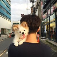 来自韩国酒吧HDSTS高临场音效的动感串烧大碟 DJ朵儿