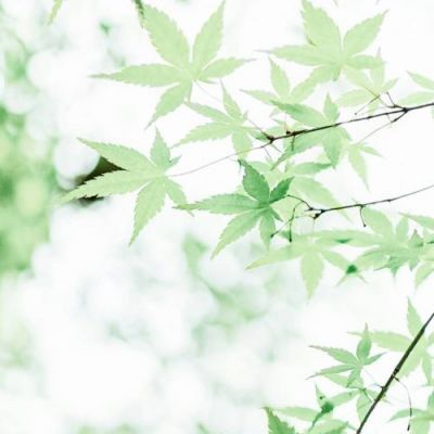 奔驰S600伤感情歌(车载专用)中文Club嗨碟-DJ彦航