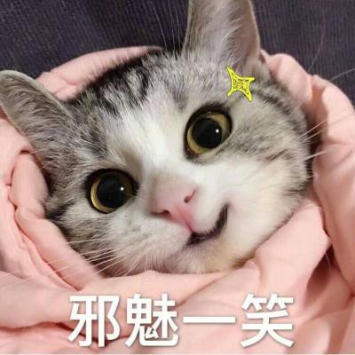萧亚轩-逞强(Mcyy Electro Rmx)