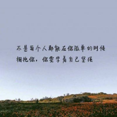 张智霖 vs 许秋怡 - 片片枫叶情(Dj晓彦 Electro Mix 2023 粤语)