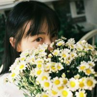 领音车载抖音最火《你是人间四月天·忘川彼岸ProgHouse车载碟》定西Dj小苏ReMix