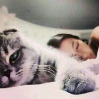 领音车载《全网嗨友都在听的Dj_不怕Dj嗨翻天就怕Dj带伤感车载精选集》定西Dj小苏ReMix