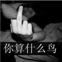 HANA菊梓乔 - 秘密花园(MrDL Electro Mix粤语合唱)v2