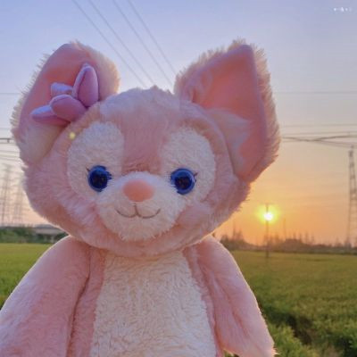 全中文Prog夏天的风抖音流行DJ串烧
