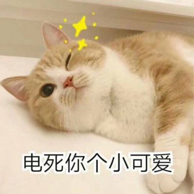蔡健雅 - 红色高跟鞋 （DJ京仔 国会鼓）