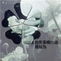 周杰伦 - 蒲公英的约定 (DJZR ProgHouse Rmx )
