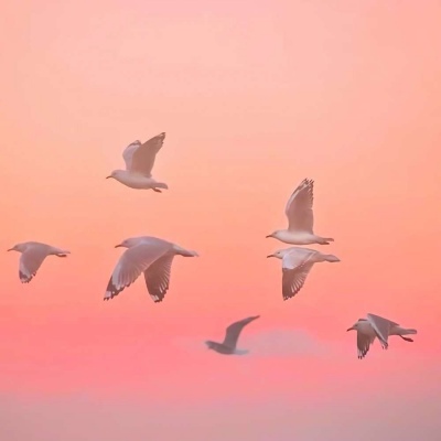DJ小可 - 没毛病