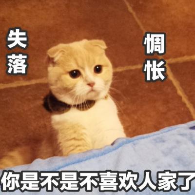 爱我别走-DJHouse音乐