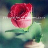 Dj明仔-全粤语Electro音乐云浮Dj贺仔专属港台热播宝丽金女声专辑