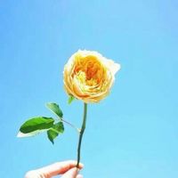 DJ学刚-全中文Electro音乐2024解情还须系情人慢摇串烧