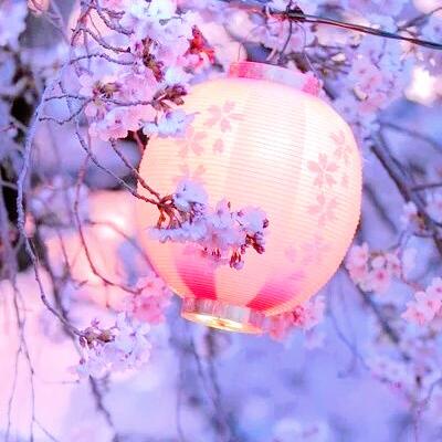 Feat_Calvin_Harris_-_We_Found_Love_(DJ.阿洋_Extended_Rmix)