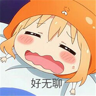 Senorita 抖音 鼓稳[40dj_com]