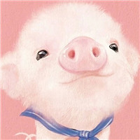 叉烧包  超干净 越南神仙鼓[40dj_com]