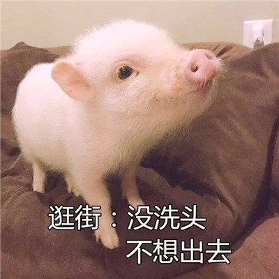 黑桃A (南宁DjAx VinaHouse Mix国语男) 越南鼓