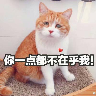 陈玉建-陪你渡红尘(DJ小刚版)