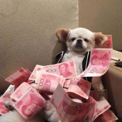 ㊣ChinaDJ浪仔夜夜夜漫长最近流行Prohouse串烧