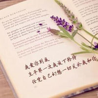 凤舞九天 全英文酒吧包厢慢摇嗨曲串烧