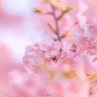 湖南DjxGuo-全中文ProgHouse音乐涛哥缔造湘L0JS62车载串烧