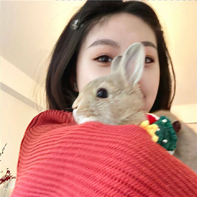 周杰伦RNB慢摇半小时奈斯