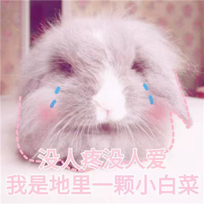 2019你会遇到更好的人全中文包房音乐慢摇串烧 dj杜杜