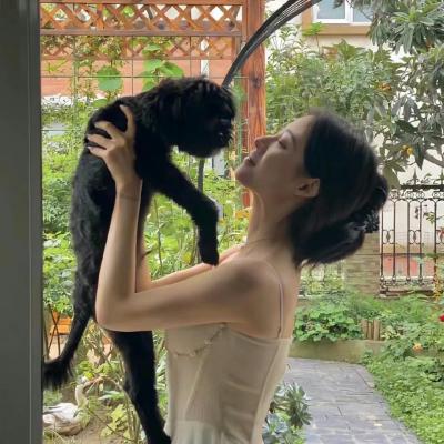 北京工体夜店芭娜娜CoCo Banana酒吧俱乐部慢摇佳曲
