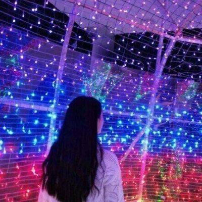 Phan Manh Quynh(Nhat TRI LakHouse Rmx)