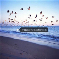 全英文House音乐精选国外酒吧流行劲嗨系列串烧B面 Dj钊仔Rmx